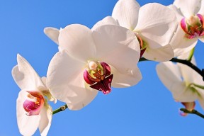 世界游泳接力队训练营营养与康复方案第94版公布，世界游泳锦标赛接力决赛